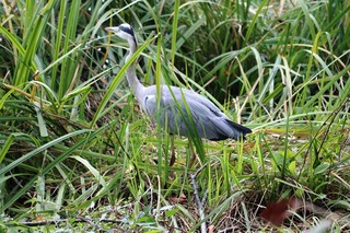 IMG_6360