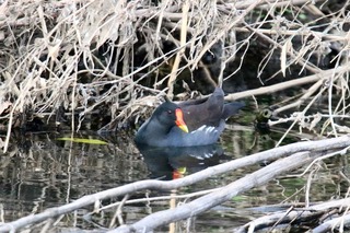 IMG_2839