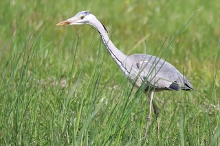 IMG_2563