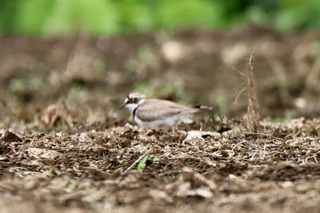 IMG_2905