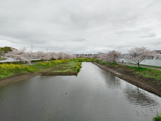 20260401_105428982