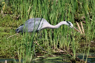 IMG_9339