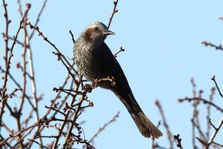 IMG_1680