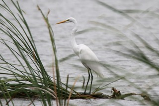 IMG_7037