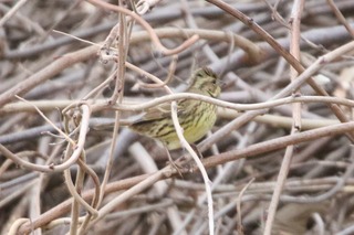 IMG_4883