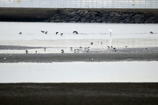 IMG_8377