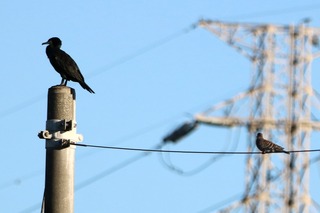 IMG_0568