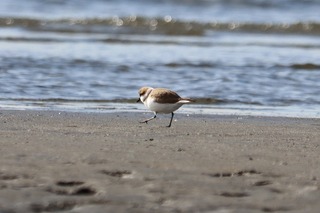 IMG_0153