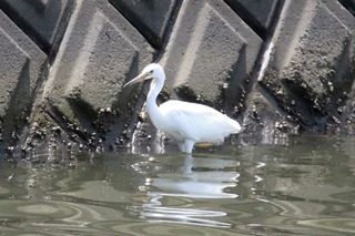 IMG_0808