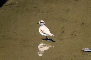 IMG_1589