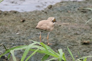 IMG_6203