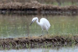 IMG_1573