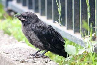 IMG_8660