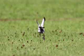 IMG_5320