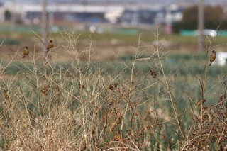 IMG_7770