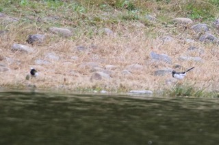 IMG_1465