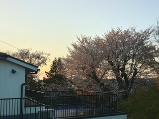 20260403_054636450