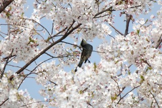 IMG_2653