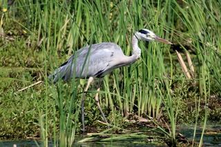 IMG_9366