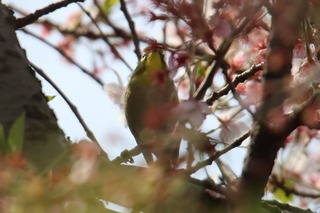 IMG_3753