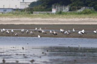 IMG_4503