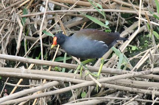 IMG_2805