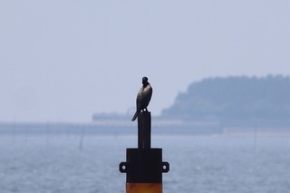 IMG_4660