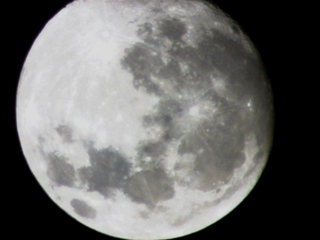 https://livedoor.blogimg.jp/vigies2005/imgs/c/d/cdaf5023.jpg
