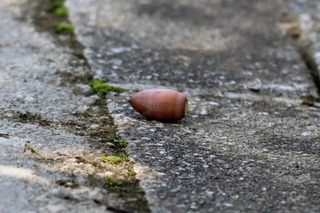 IMG_5884