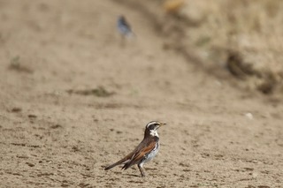 IMG_3150