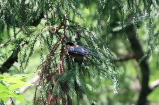 IMG_4026
