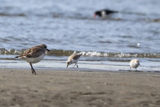 IMG_0194