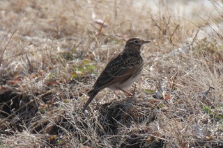 IMG_8402