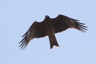 IMG_8192