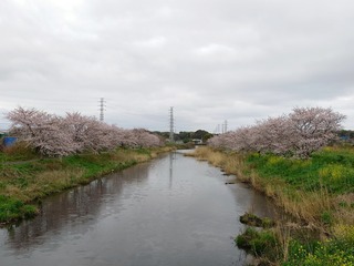 20260401_105052885