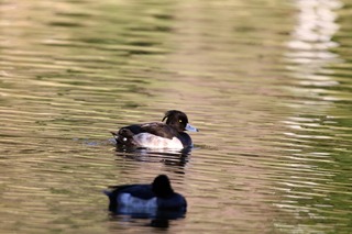 IMG_4738