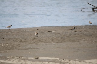 IMG_0456