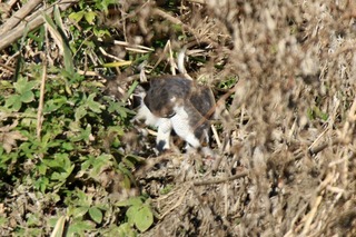 IMG_0143