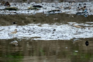 IMG_0428