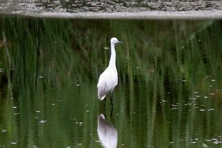 IMG_6520