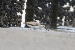 IMG_8280