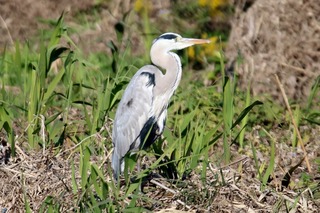 IMG_9983