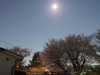 20260402_210909017
