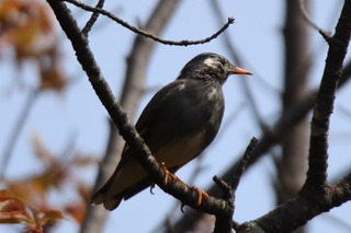 IMG_3852
