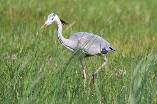IMG_2552