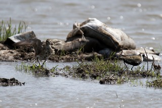 IMG_4008