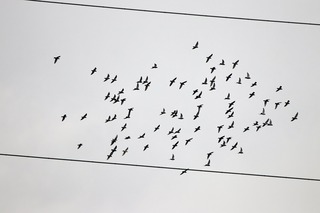 IMG_4073