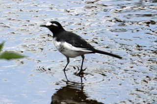 IMG_6053