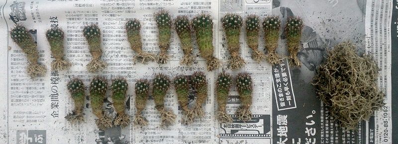 イメージ 4