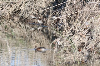 IMG_9601